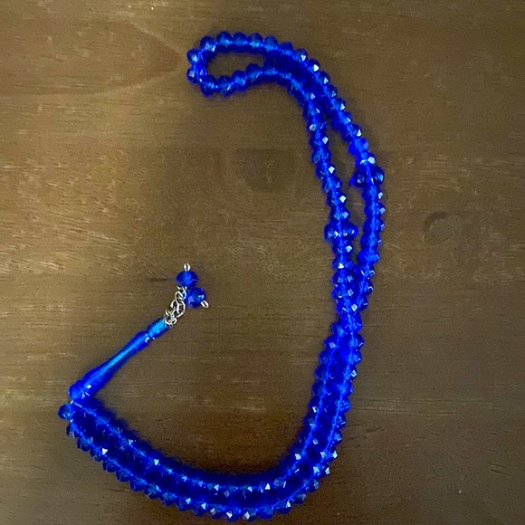 Shiny Blue - Picture 1 of 1